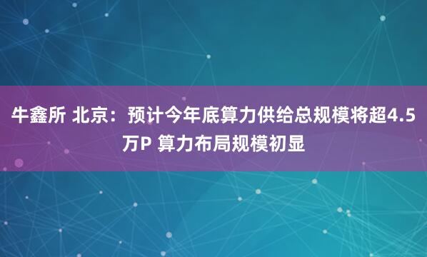 牛鑫所 北京：预计今年底算力供给总规模将超4.5万P 算力布局规模初显