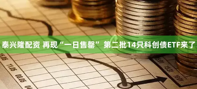 泰兴隆配资 再现“一日售罄” 第二批14只科创债ETF来了